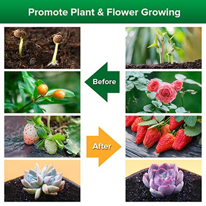 SANSI LED Grow Lights for Indoor Plants, Lifetime Free Bulb Replacement - size: 3 Head 1 Pack