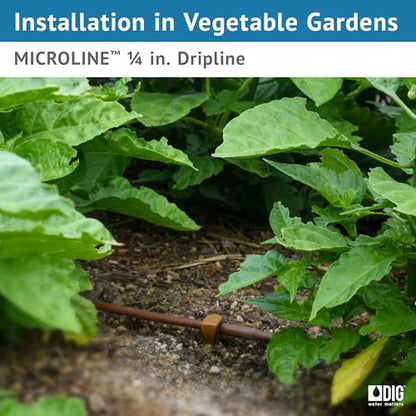 DIG ML-112B ¼” 100’ MICROLINE™ Dripline, 12” Dual Outlet Emitter Spacing, UV-Resistant Tubing for Efficient Irrigation | Ideal for Raised Beds | Flexible, Durable, Easy Installation (Brown) - size: 100',¼" MICROLINE Dripline - 12” Spacing