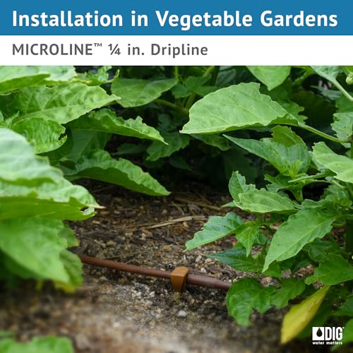 DIG ¼” 100’ MICROLINE™ Dripline - Enhanced 6” Emitter Spacing, UV-Resistant, Perfect for Diverse Garden Layouts (Brown) SHB106 - size: 100',¼" MICROLINE Dripline - 6” Spacing