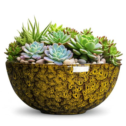 Succulent Pots, 10 Inch Ceramic Bonsai Pots, Yellow Leopard - color: Yellow Leopard-1, size: 10 Inch