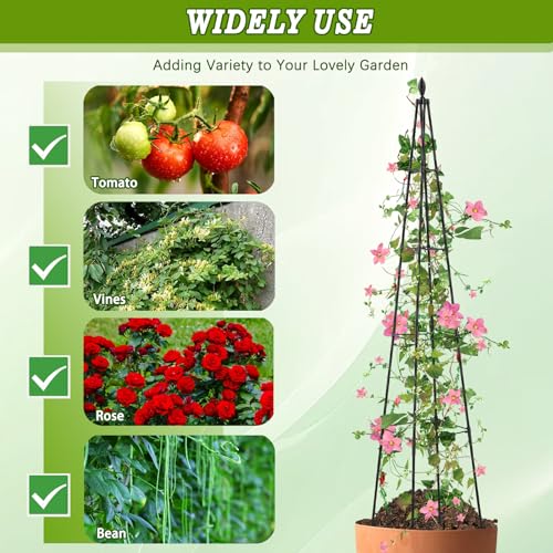 AlisisFores Garden Trellis, 63 inch Tall, 2 PCS