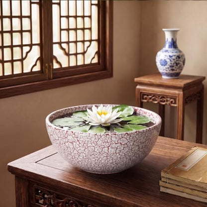 Bowl Planter 10 Inch, Ceramic Bonsai Tree Pots, Texture Red - color: Texture Red-1, size: 10 Inch