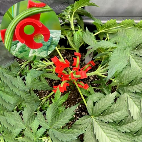 80 Pcs Low Stress Training Clips, 90 Degrees Plant Trainer, Bud Benders, Plant Stem Support Bender for Plants - White and Red - color: 80 Pcs White and Red
