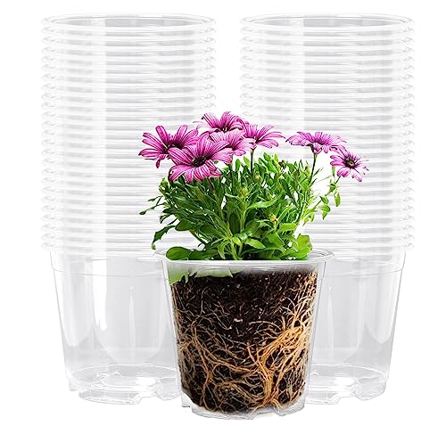Oubest 50Pcs Clear Nursery Plastic Pots for Plants Orchid Potting 5 Inch Seedling with Drainage Holes Indoor Outdoor Flower Seedlings Succulent Vegetable Herb
