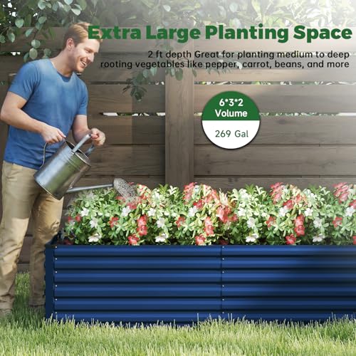NAVINE 6x3x2ft Outdoor Metal Raised Garden Bed, Metal Planter Box, 2-Pack - color: Blue, size: 6x3x2 FT-2PC