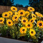 Brightown 6 Pack 3 Head Solar Sunflower Garden Stake Lights Waterproof - color: Yellow, size: 6 Packs