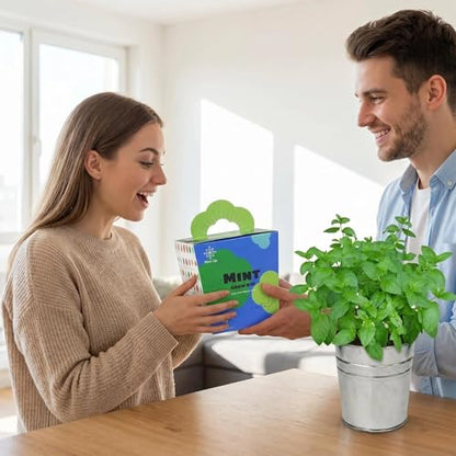 Mint Grow Kit - Indoor Herb Garden Kit with Planter, DIY Kitchen Herb Planting Kit, Grow Fresh Mint at Home for Tea, Drinks & Cooking, Beginner Friendly Gardening Gift