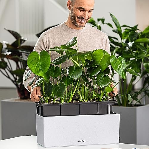 Lechuza BALCONERA Stone 50 Quartz White, Self-Watering Window Box (Railing Planter), H7.5 L19.7 W7.5 in - size: L50 W19 H19 cm