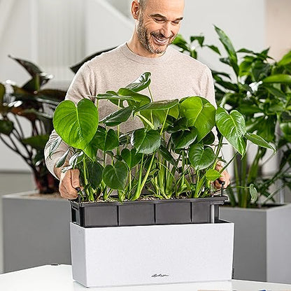 Lechuza BALCONERA Stone 50 Quartz White, Self-Watering Window Box (Railing Planter), H7.5 L19.7 W7.5 in - size: L50 W19 H19 cm