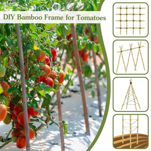 Plant Stakes 4FT, Natural Bamboo Stakes, 25Pcs Sturdy Bamboos Garden Stakes - size: 4Ft, 25Pack