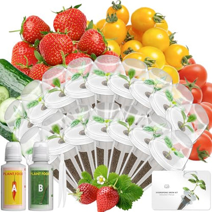 LYKOCLEAN Herb Seed Pod Kit Compatible with AeroGarden Hydroponics Growing System, Complete Indoor Gardening Supply (Fruit, 16-pods) - color: Fruit, size: 16-pods