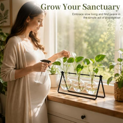 Plant Propagation Stations, Plant Terrarium with Minimalist Metal Stand