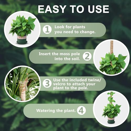 60 Inch Moss Pole, Bendable Moss Pole for Plants Monstera, Tall Moss Poles for Climbing Plants Indoor, Large Support, Garden Trellis Stick Stakes for Plants - size: 60 Inch