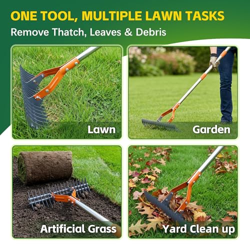Thatch Rake – 74-Inch Heavy Duty Metal Rake with Hardened Steel Tines for Efficient Lawn Thatch and Dead Grass Removal, Detachable Handle Manual Dethatcher Rake for Yard and Landscape Maintenance