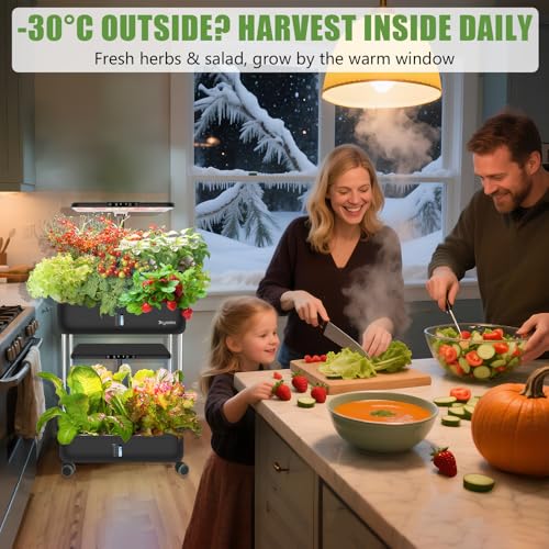 Large Hydroponics Growing System Kit,44-Pod with 3 Seed Packs - size: 2-Tier