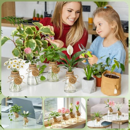 48PCS Plant Propagation Stations 3.35'' Plastic Propagation Jars Clear Vase - size: 48 Pack