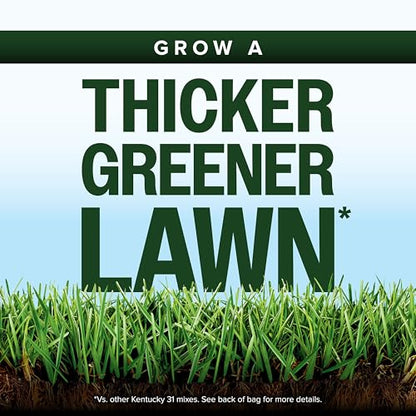 Scotts Kentucky 31 Grass Seed Mix, 40 lbs. - size: 40 lb