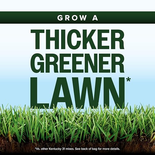 Scotts Kentucky 31 Grass Seed Mix, 20 lbs. - size: 20 lb