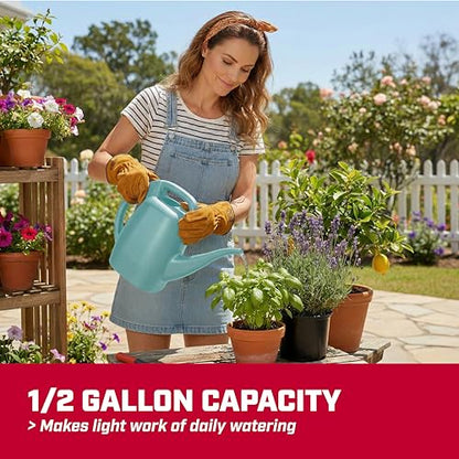 CHAPIN 48007 1/2-Gallon Watering Can, Easy-Pour Dual Handle Design - style: 0.5 Gallons, Sky Blue