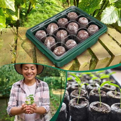SiliFine 6 Pack Seed Starter Tray with 72 Pcs Peat Pellets, Seeding Starter Kit (72 Cells Total Tray) with Humidity Dome, Soil Plant Germination Tray Kit for Flower Vegetable(Black, Green) - color: Black, Green
