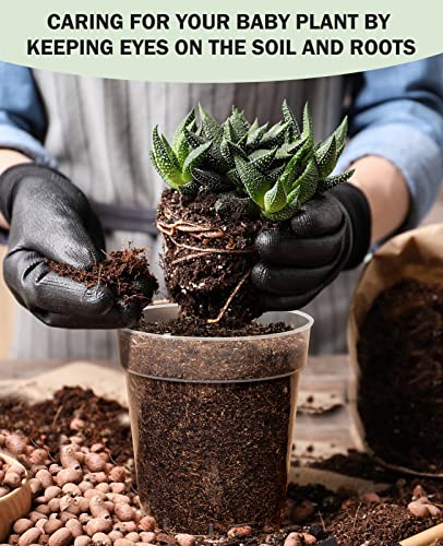 homenote 3 Inch Clear Nursery Pots with Drainage Holes and Labels (30 Pcs) - color: Transparency-no Lid, size: 3 Inch-30 Pack