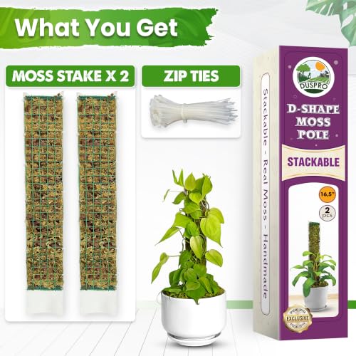 DUSPRO 2 Pack 16.5" D-Shaped Plastic Stackable Moss Poles - color: Plastic D shaped
