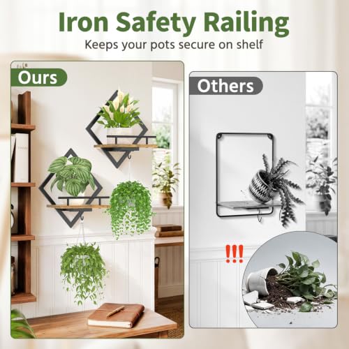 LASZOLA Plant Picture Frame Holder Shelf Wall Window Indoor, 2 Pcs Brown - color: Antique Black+Brown, size: 2