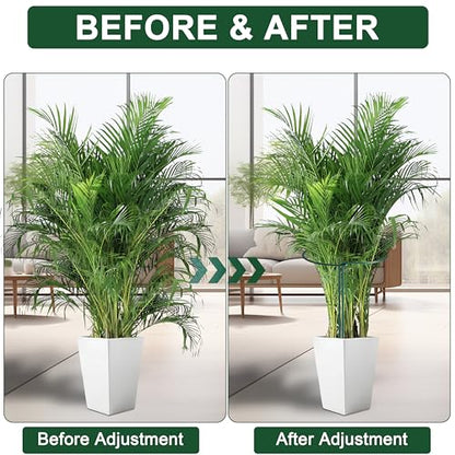 6 Pack Peony Cages and Supports, 14" (W) x 32"(H) Plant Support, Rust-Proof Metal Plant Support Stakes for Outdoor&Indoor Plants