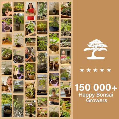 Bonsai Tree Kit Deluxe - Growing 5 Unique Japanese Bonzai Trees