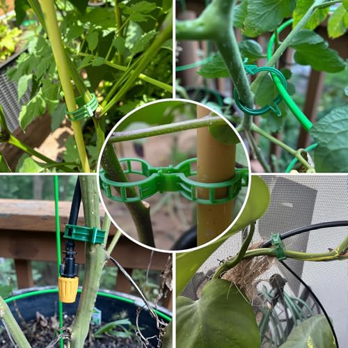 300-Piece Tomato Clips for Climbing Plants, Reusable Trellis Support Set