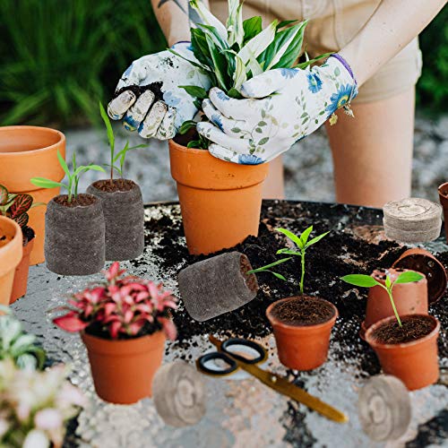ZeeDix Peat Pellets for Seed Starting, 100 Pcs 30mm Seed Starter Soil Pods - size: 30mm