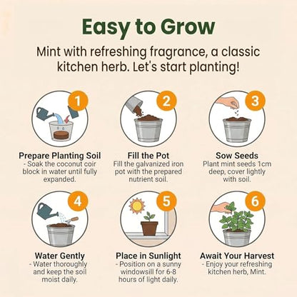 Mint Grow Kit - Indoor Herb Garden Kit with Planter, DIY Kitchen Herb Planting Kit, Grow Fresh Mint at Home for Tea, Drinks & Cooking, Beginner Friendly Gardening Gift