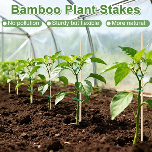 AUGSHY Bamboo Plant Stakes 18 Inch, 64 PCS Natural Bamboo Garden Stakes