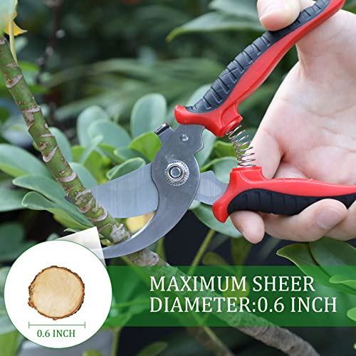 6 Pcs Garden Pruning Shears Heavy Duty Gardening Scissors,Red Black