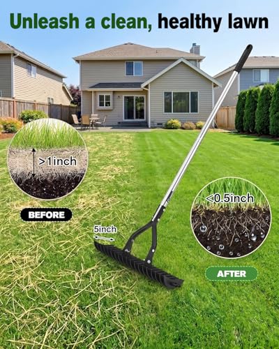 Saker Thatch Rake for Lawn Dethatching with 71" Adjustable Long Handle
