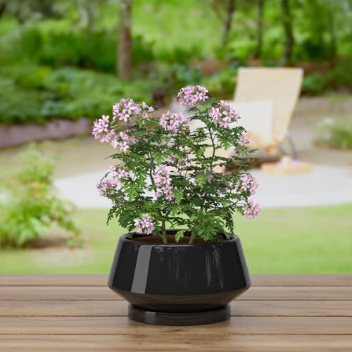 8.3 Inch Black Ceramic Planter with Drainage Hole and Saucer - color: Gloss Black, size: Medium