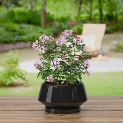 10 Inch Black Ceramic Planter with Drainage Hole and Saucer - color: Gloss Black, size: Large