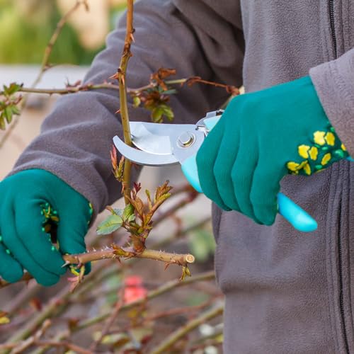 Chumia 30 Pack Garden Shears Flower Clippers for Plant Cutting, Blue - color: Blue