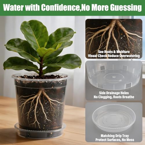 BTPLASTIK 0.5/1/2.5/3.5 Gallon Clear Nursery Pots with Saucers 4 Size Set 12P, Round Plastic Plant Pots with Drainage Holes - size: 0.5/1/2.5/3.5 Gallon + Saucers 12P
