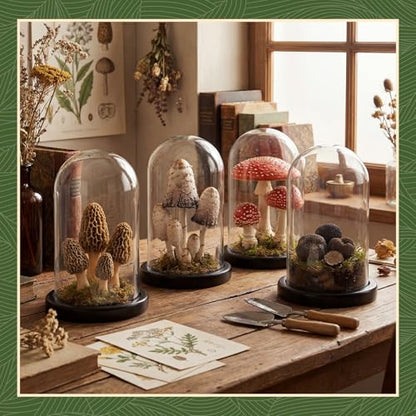 Suclain 4Pc Glass Dome Cloche with Wood Base, Black, 6.7" X 3.8" - color: Black, size: 6.7" X 3.8"