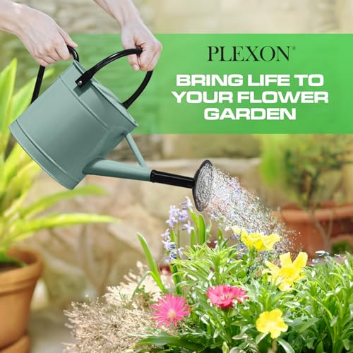 Plexon Metal Watering Can Outdoor 1 Gallon, Flower Plant Gardening Garden Large Watering Can Pot, Black Galvanized Steel Handles and Removable Spray Spout, Aqua Mist Blue - color: Aqua Mist Blue