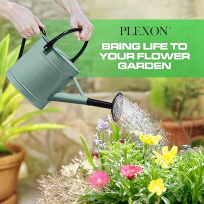 Plexon Metal Watering Can Outdoor 1 Gallon, Flower Plant Gardening Garden Large Watering Can Pot, Black Galvanized Steel Handles and Removable Spray Spout, Aqua Mist Blue - color: Aqua Mist Blue