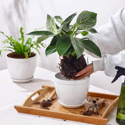 6.5" Ceramic Plant Pots Set of 2, Crisp White Embossed Planters with Saucer - color: White, size: 6.5 inch