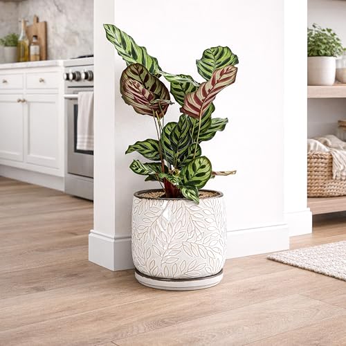 D'vine Dev Embossed Leaves Ceramic Planter, 8 in, Smoked White, 27-A-Q-1 - color: Smoked White, size: 8 Inch