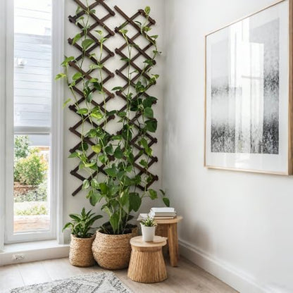 4Pcs Expandable Garden Trellis, 13"x68" Trellis for Climbing Plants Outdoor - size: 13" x 68" 4 Pack