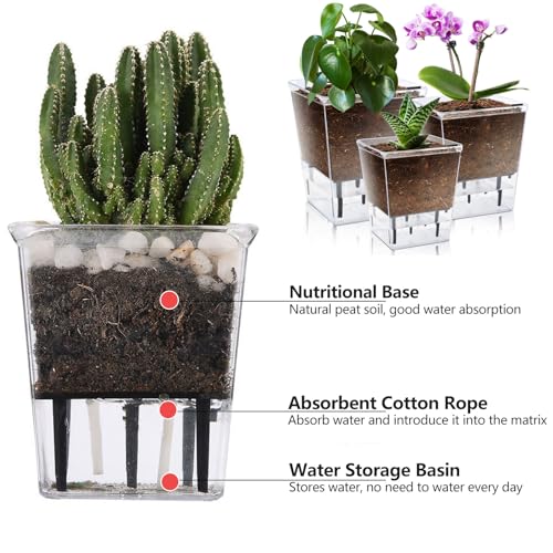 Self Watering Pots Set, Clear Self Planter Pot for Indoor Plants - size: 5Pcs Small