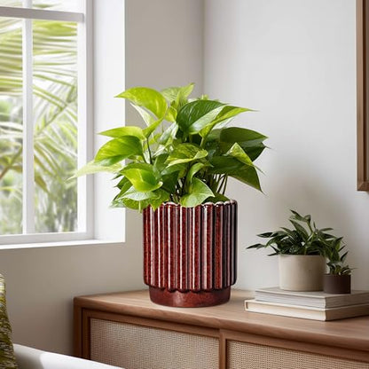 Ceramicfor Ceramic Plant Pot, 7.6 Inch, Red - color: Leopard Print Red, size: 7.6 Inch