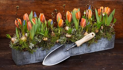 Tierra Garden DeWit Forged Hand Trowel, Garden Tool for Roots and Planting, Standard (31-3000) - size: Standard, style: Short Handle