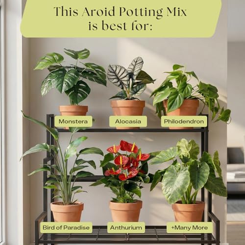 Rosy Soil Aroid Soil Mix, Chunky Biochar Potting Mix, 4 Quarts - color: Aroid, size: 4 Quarts
