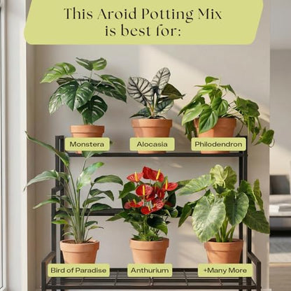 Rosy Soil Aroid Soil Mix, Chunky Biochar Potting Mix, 4 Quarts - color: Aroid, size: 4 Quarts